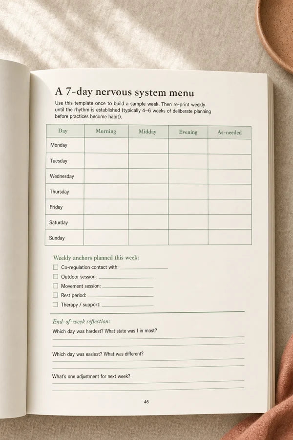 Nervous System Regulation Workbook