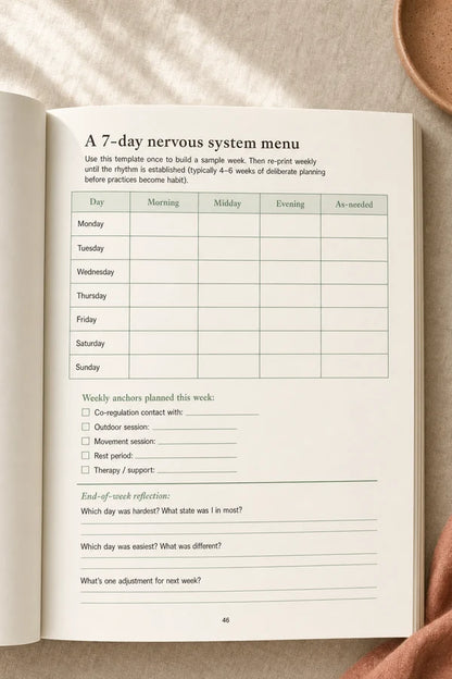 Nervous System Regulation Workbook
