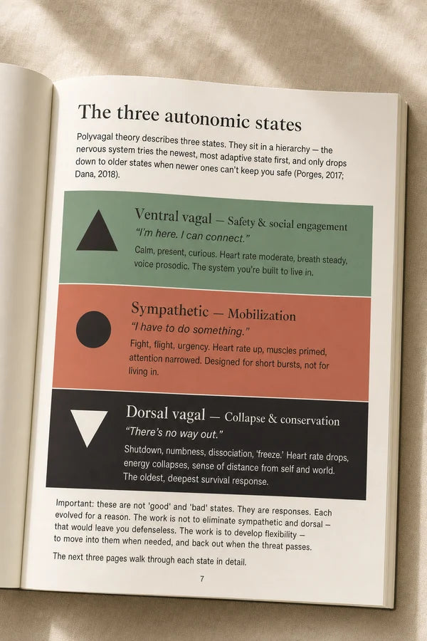 Nervous System Regulation Workbook