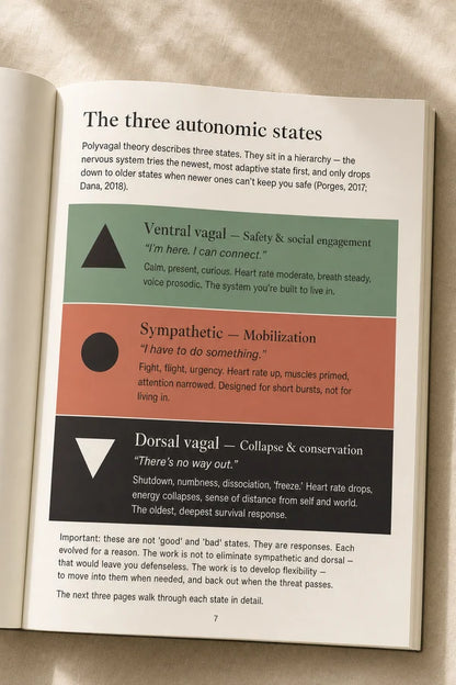 Nervous System Regulation Workbook